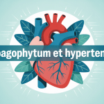illustration centrale sur harpagophytum et hypertension