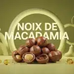 Noix de macadamia, bons lipides pour le cœur