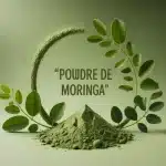 Poudre de moringa pour l’énergie et les protéines