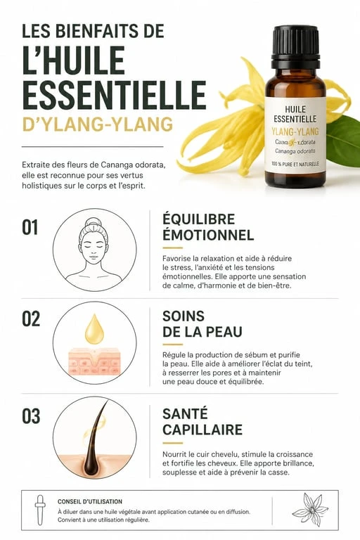 Infographie des bienfaits de l'huile essentielle d'ylang-ylang pour la peau, les cheveux et le stress