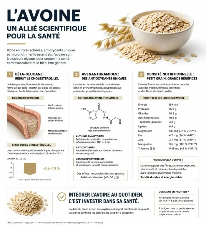 Infographie illustrant les bienfaits de l'avoine pour la santé et ses propriétés nutritionnelles