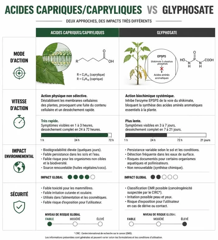 Infographie comparative des acides capriques et capryliques versus glyphosate pour le désherbage naturel au jardin