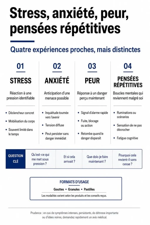 Infographie sur les fleurs de bach stress anxiete pour distinguer stress, anxiété, peur et formats d’usage